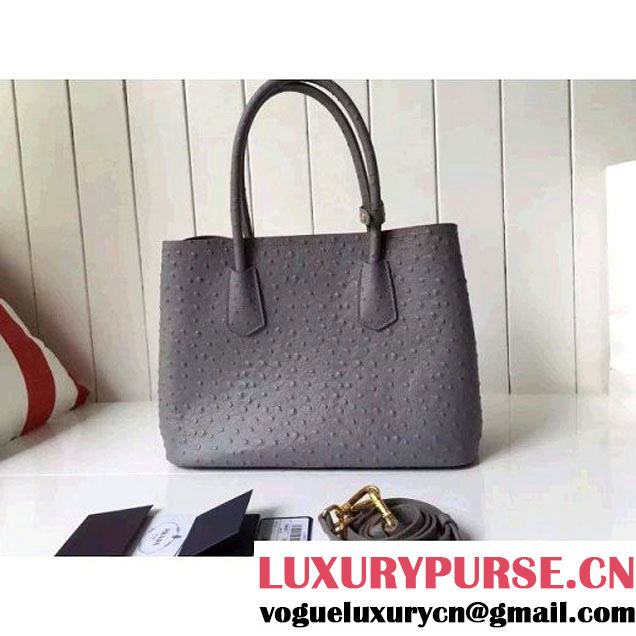 Prada Calfskin Ostrich Pattern Double Bag Etoupe 2016 (2A016-6060303 )