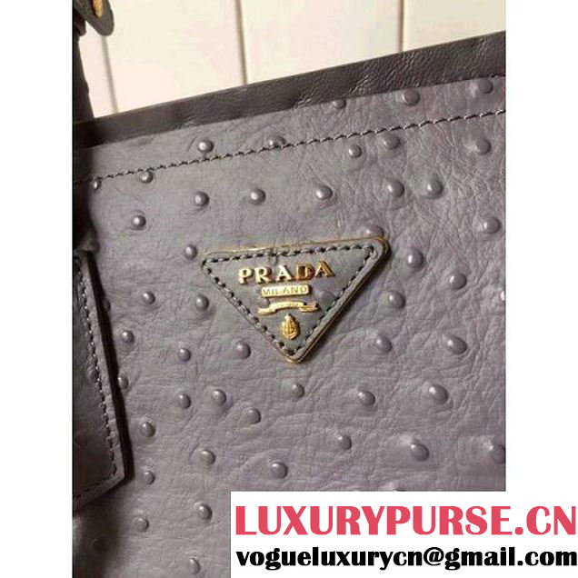Prada Calfskin Ostrich Pattern Double Bag Etoupe 2016 (2A016-6060303 )