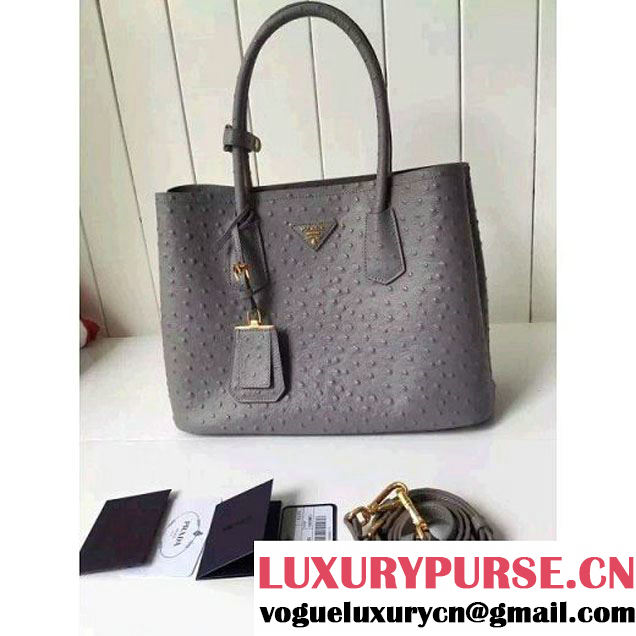 Prada Calfskin Ostrich Pattern Double Bag Etoupe 2016 (2A016-6060303 )