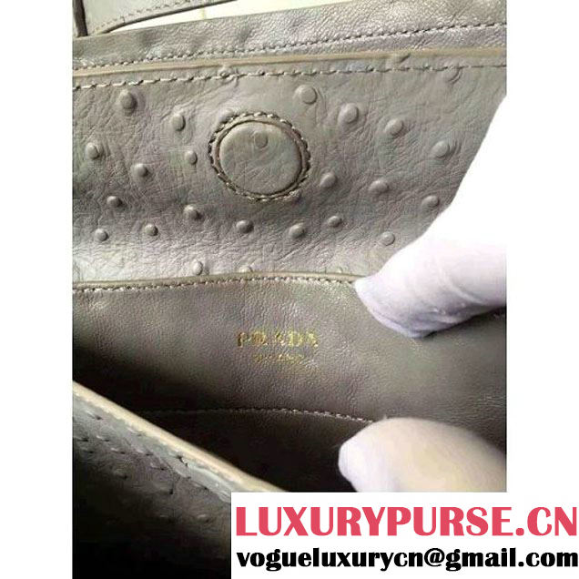 Prada Calfskin Ostrich Pattern Double Bag Etoupe 2016 (2A016-6060303 )
