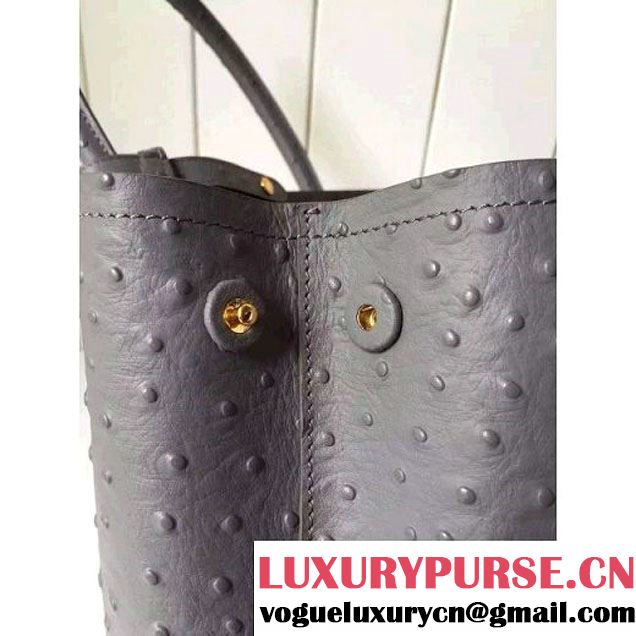 Prada Calfskin Ostrich Pattern Double Bag Etoupe 2016 (2A016-6060303 )