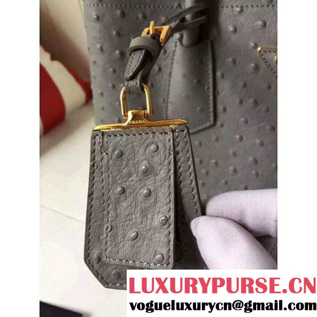 Prada Calfskin Ostrich Pattern Double Bag Etoupe 2016 (2A016-6060303 )