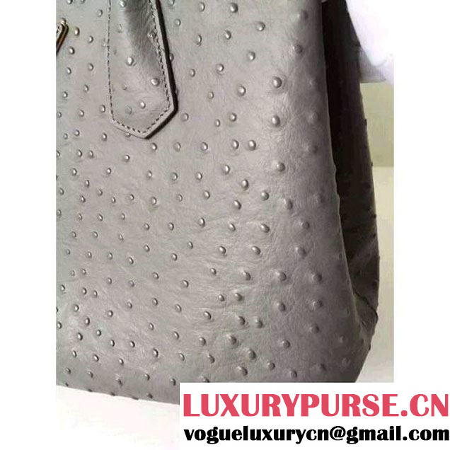 Prada Calfskin Ostrich Pattern Double Bag Etoupe 2016 (2A016-6060303 )