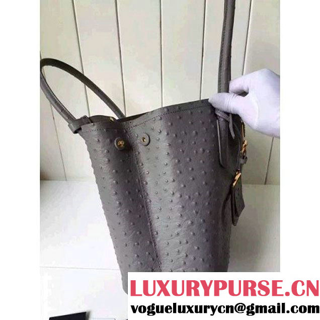 Prada Calfskin Ostrich Pattern Double Bag Etoupe 2016 (2A016-6060303 )