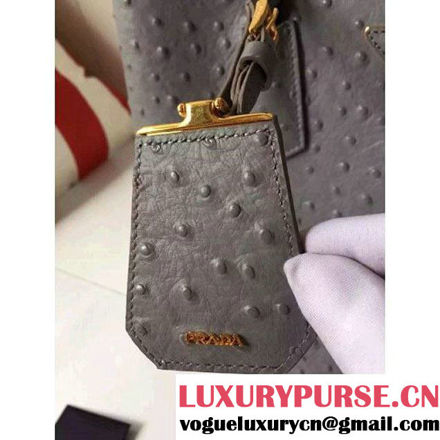 Prada Calfskin Ostrich Pattern Double Bag Etoupe 2016 (2A016-6060303 )
