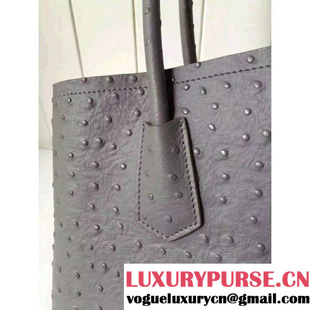 Prada Calfskin Ostrich Pattern Double Bag Etoupe 2016 (2A016-6060303 )