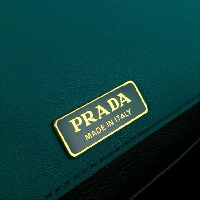 Prada Animalier Lion Head 20cm Bag 1BD089 Calfskin Leather Fall Winter 2017 Bag Collection Turquoise Black