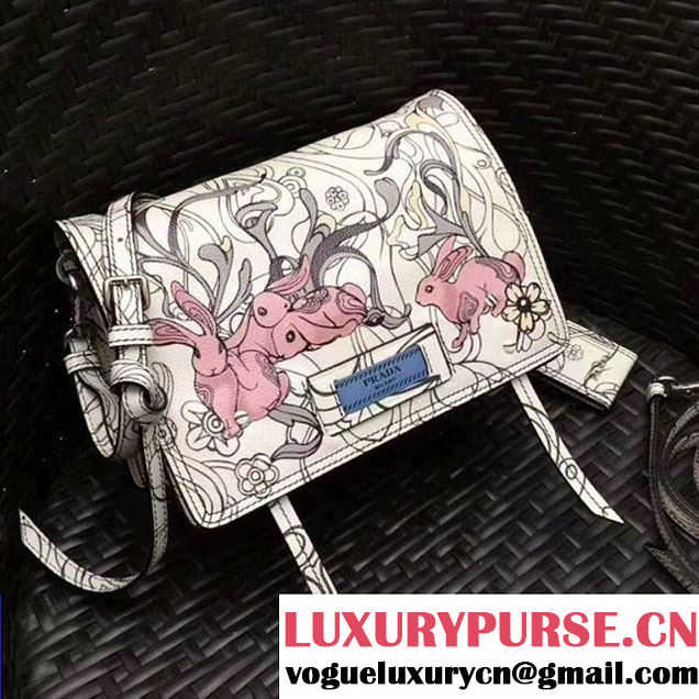 Prada Etiquette Printed Leather Bag 1BD082 2018 (GYF-8012705 )
