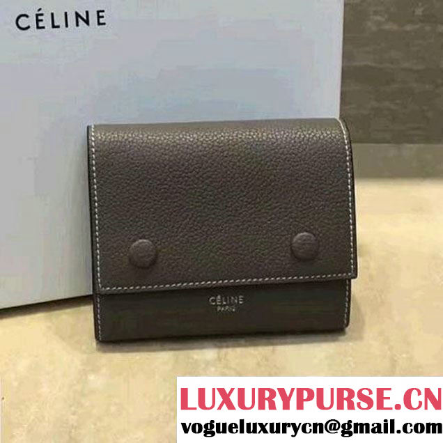 Celine Small Folded Multifunction in Baby Drummed Calfskin Stone 2017 (1A021-7072521 )